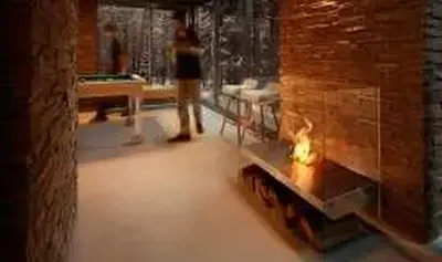 Ecosmart Igloo